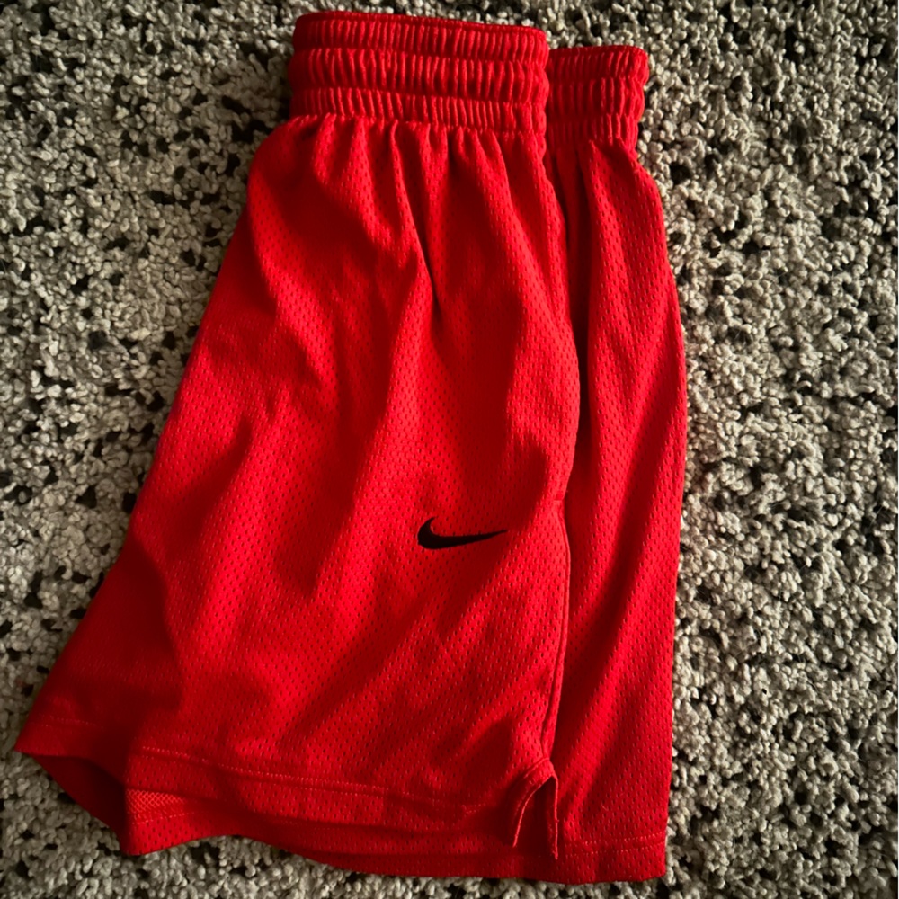 Nike Mesh Shorts Men’s